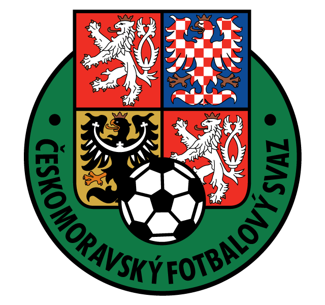 UEFA Czech Republic 1994-2012 Primary Logo iron on transfers